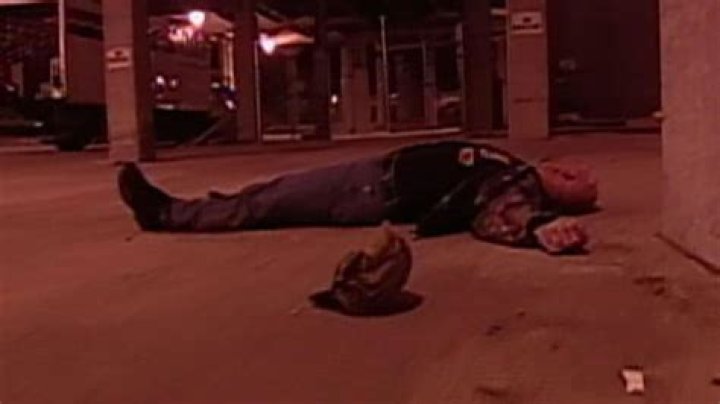 Steve Austin after getting hit by a car