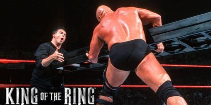 Steve Austin Shane McMahon Ladder