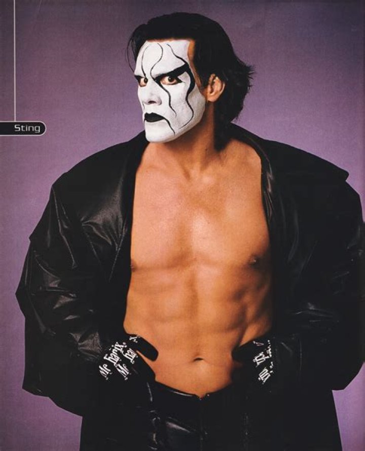 Sting in WWE