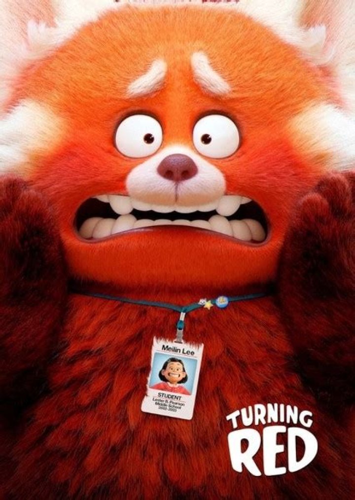 Sun Yee Fan Casting for Turning Red (2002) | myCast