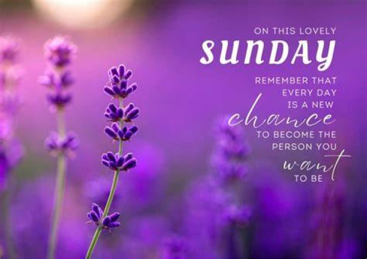 Sunday Inspirations: Finding Motivation And Peace In Your Week