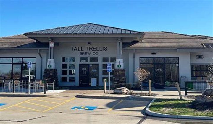 Tall Trellis Brew Co Scooter's Bar Journal