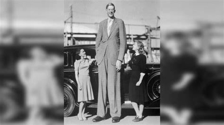Tallest Celebrities: A Look At The Giants Of Hollywood