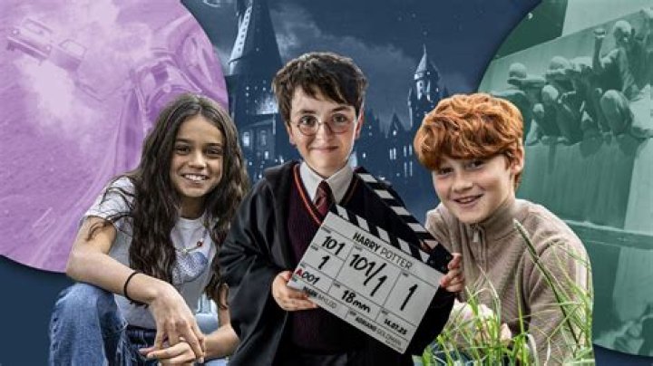 Teddy Lupin Fan Casting for Harry Potter | myCast