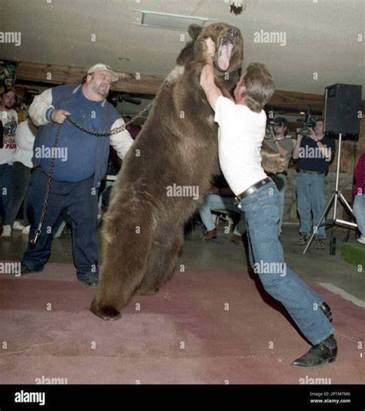 Terrible Ted the wrestling bear