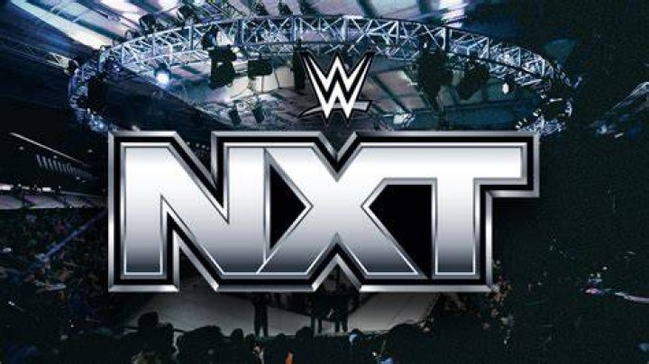The 5 Best (& 5 Worst) Pros From NXT's Game Show Days