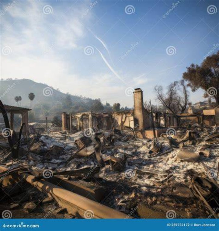 The aftermath of the blaze. Photo / Supplied