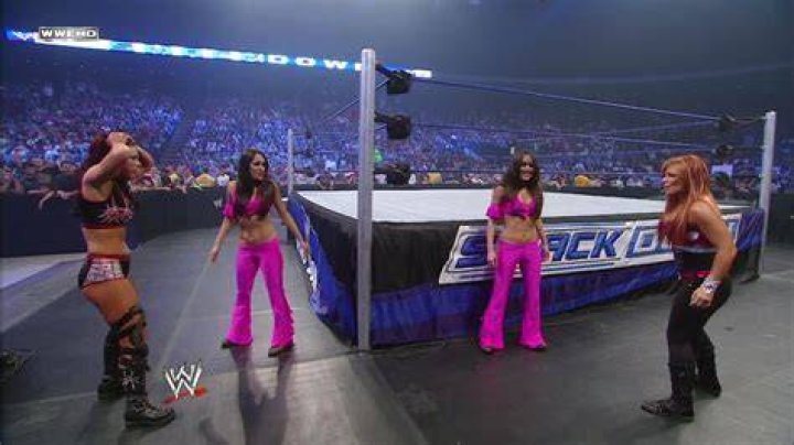 The Bella Twins debut 