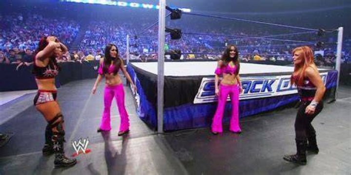 The Bella Twins main roster debut