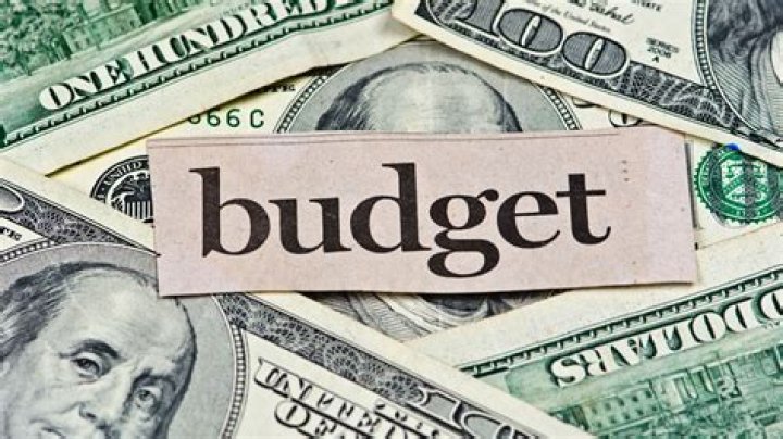 The budget crisis has sent tensions soaring in Germany's ruling coalition The budget crisis has sent tensions soaring in Germany's ruling coalition