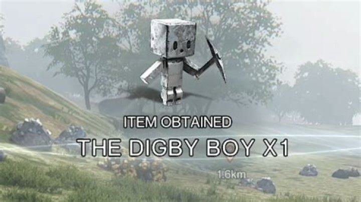 The Extraordinary Journey Of The Digby Boy