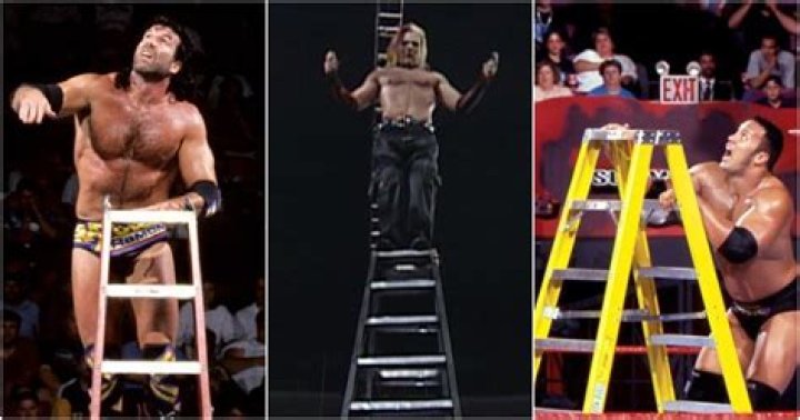 The First 10 WWE Ladder Matches, Ranked From Worst To Best