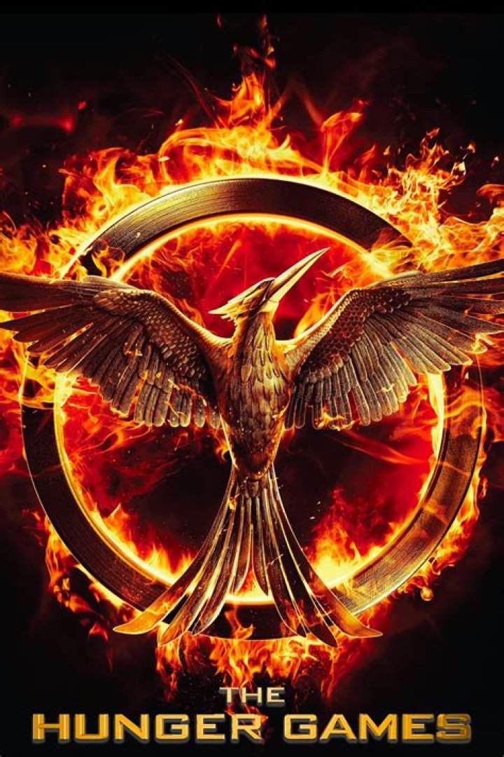 The Hunger Games Franchise Poster