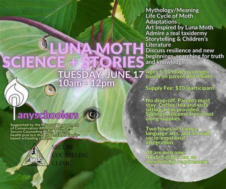 The Moth Stories I Grew Up Here