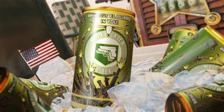 The Mule Kick perk from Call of Duty Black Ops Cold War zombies.