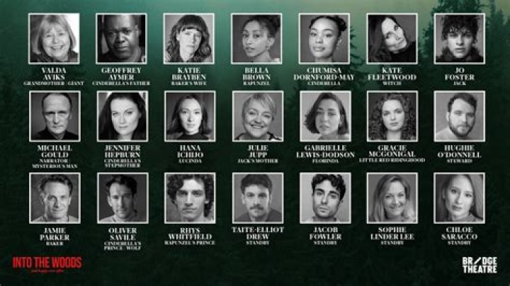 The Narrator/the Mysterious Man Fan Casting for Into the Woods Live | myCast