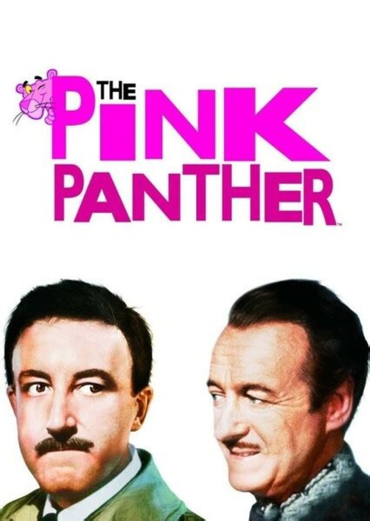 The Pink Panther Fan Casting