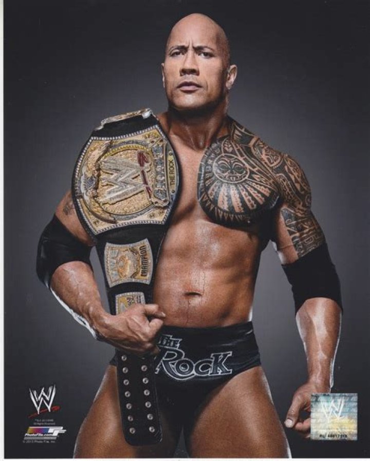 The Rock 2013 WWE Champion