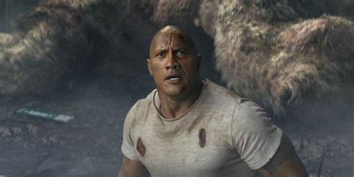 The Rock has amassed $12 Billion in the box office. The Rock has amassed $12 Billion in the box office.