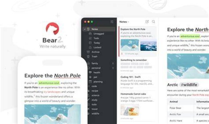 The Ultimate Guide To Bear Texting: Understanding The Trend And How To Master It
