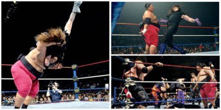The Undertaker Vs. Yokozuna