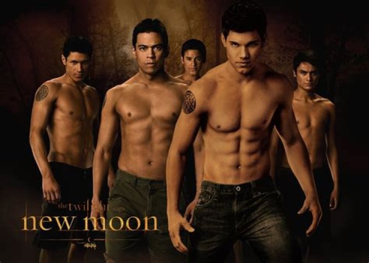 The wolf pack in Twilight