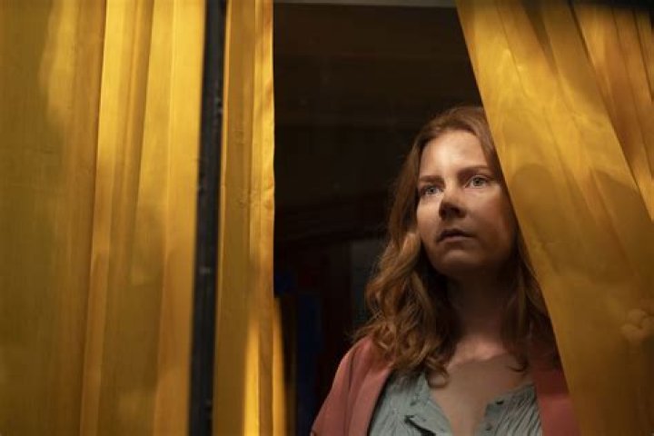 The Woman in the Window Ending Explained Lisa Killer Emma Neil Anna