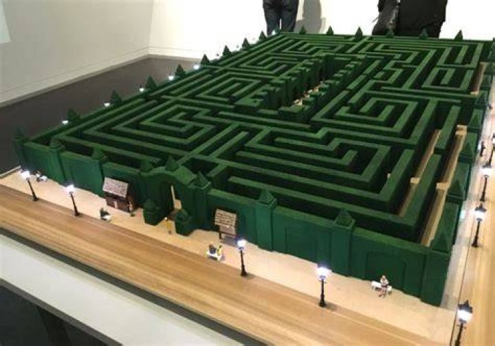 the_shining_maze