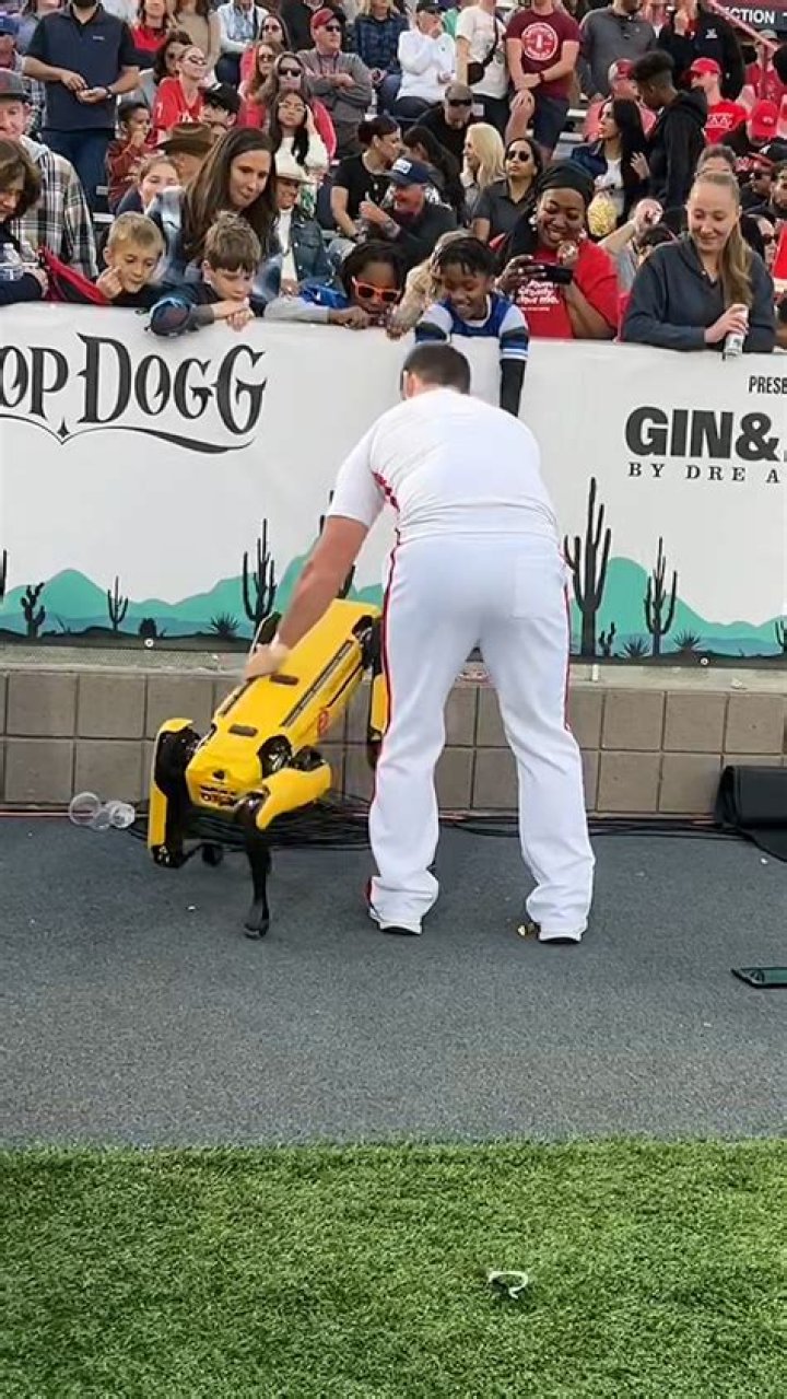 This dog is clearly leagues ahead of his fellow canine pals, having managed to set up a Tinder account.