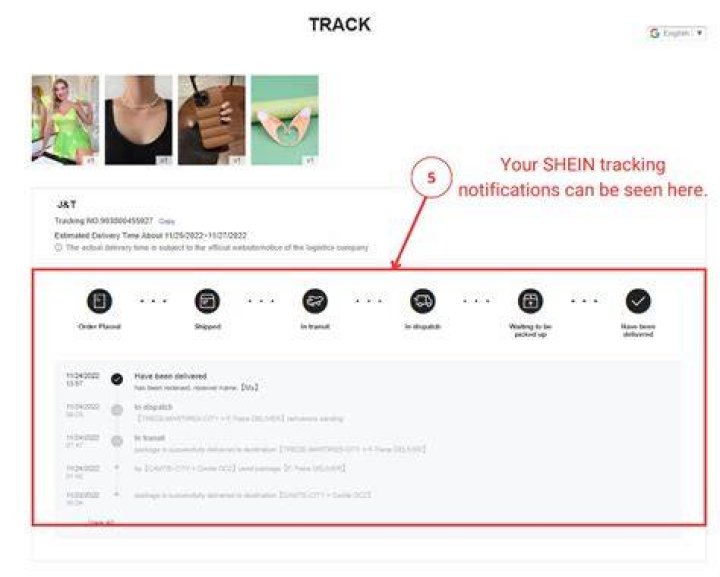 TikTok video shows SHEIN order