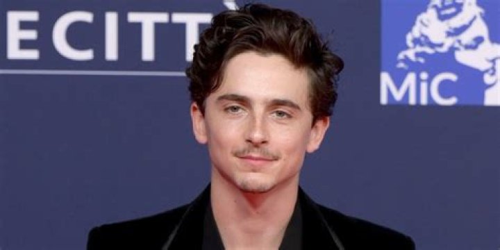 Timoth&eacute;e Chalamet as Christian in The Idhun Chronicles