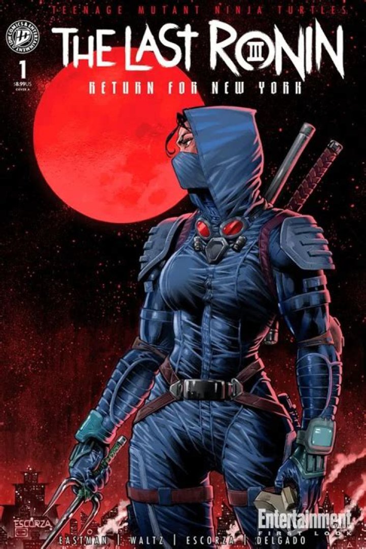TMNT Last Ronin