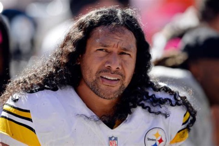 Troy Polamalu Hair How Much It&rsquo;s Worth + Why He Grows It Fanbuzz