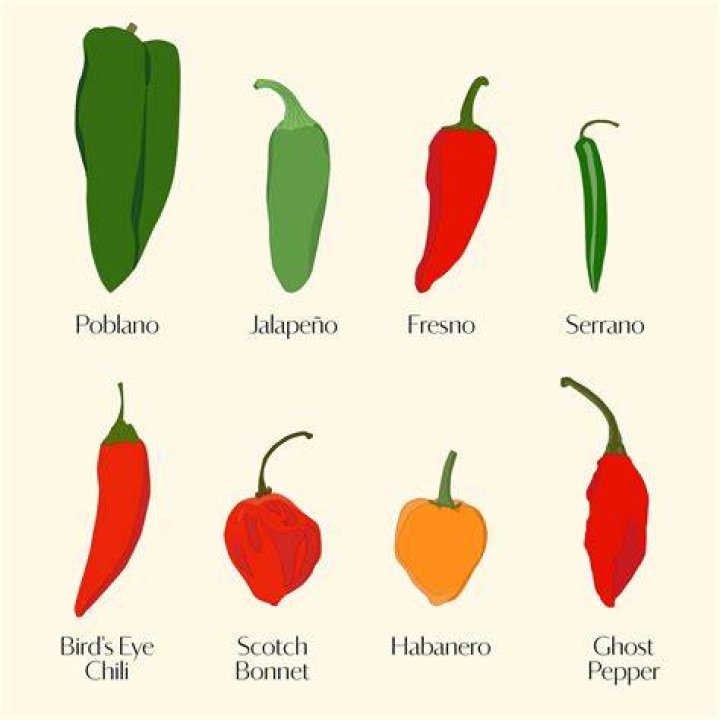 Types of chillies with pictures Types of chillies with pictures