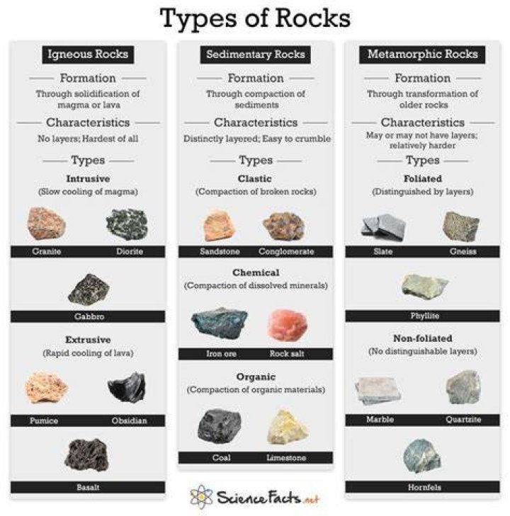 Types of Rocks Science Facts Rock types, Rock science, Metamorphic