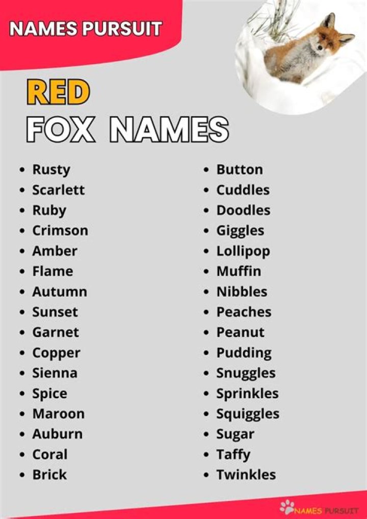 Understanding Fox Names: A Comprehensive Guide