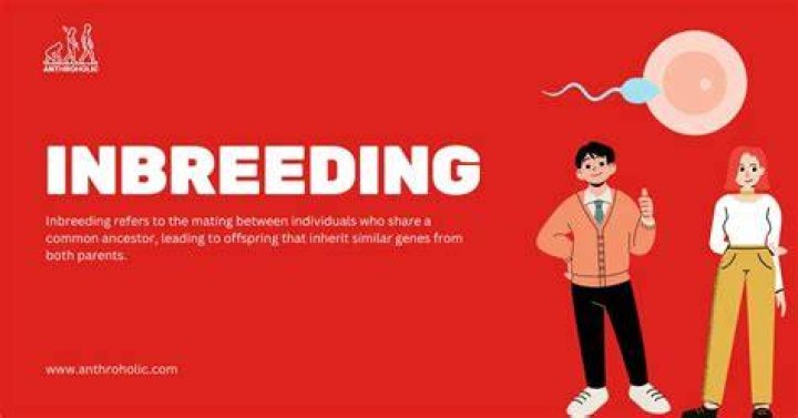 Understanding Inbreeding In Families: Causes, Effects, And Implications