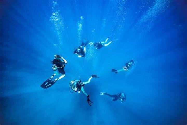 Understanding Paul Shark: A Deep Dive Into The Iconic Brand