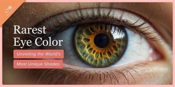 Understanding Rare Colours: The Science And Beauty Behind Unique Hues