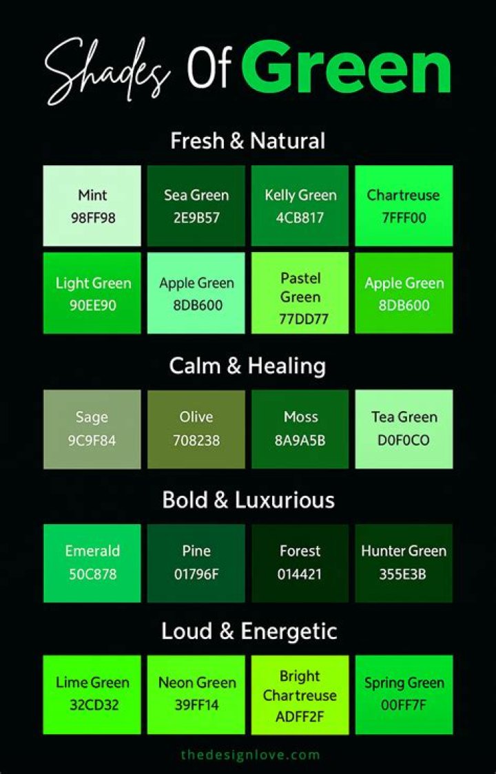 Understanding the Different Shades of Tesla Window Tint