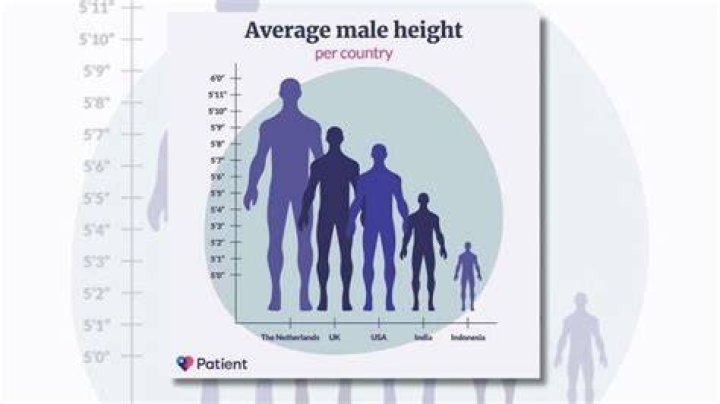 Understanding The Height Of 1.85 M: Implications And Insights