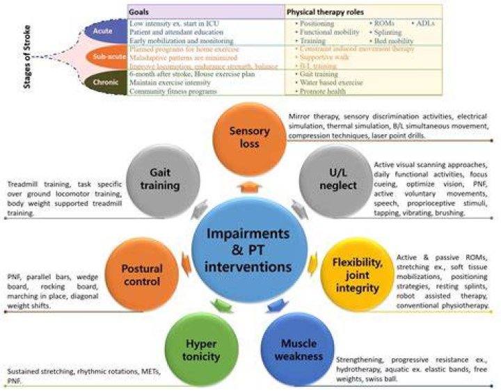 Understanding The Impact Of OT Megan: A Comprehensive Guide