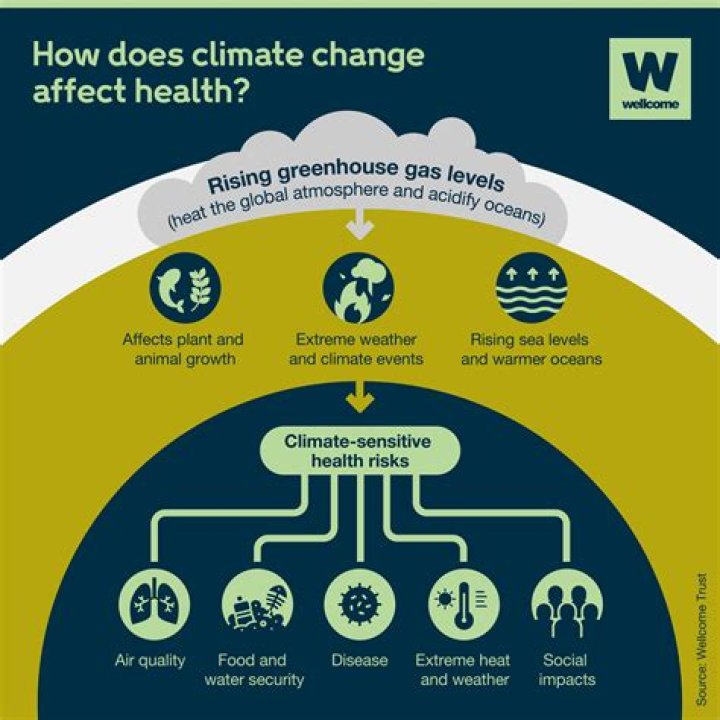 Understanding The Impact Of 
