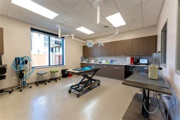 Understanding The Importance Of North Country Animal Hospital In Pet Care