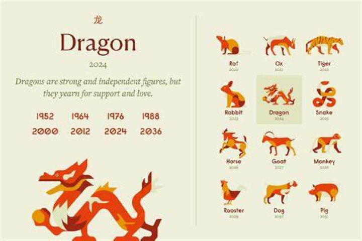 Understanding The Meaning Of Dragons: What They Represent Across Cultures