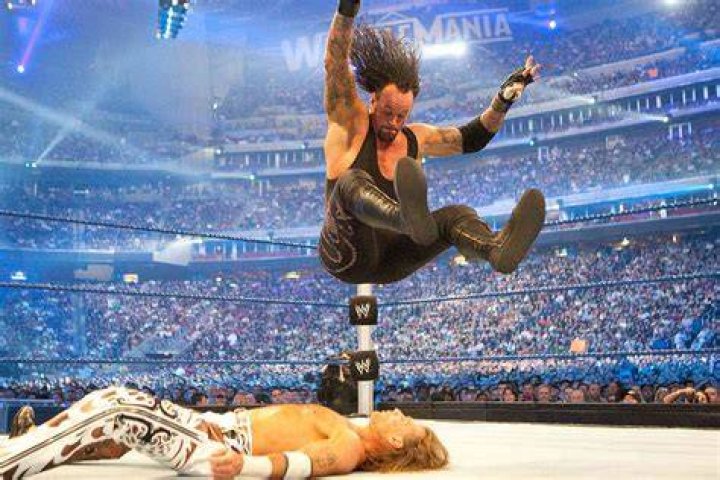 Undertaker and Michaels battled in two successive WrestleManias
