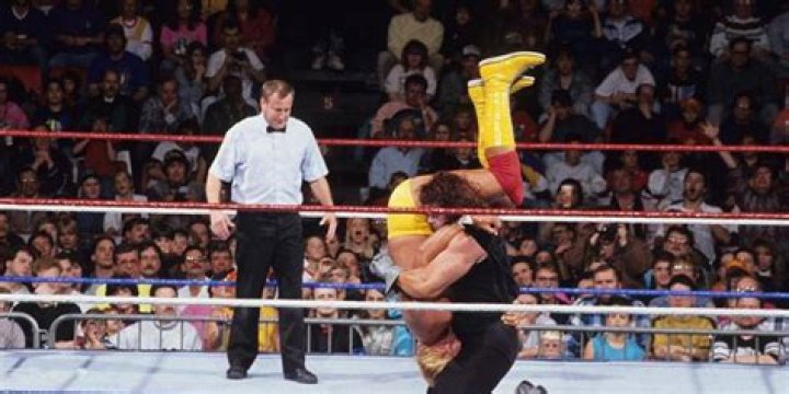 Undertaker v Hulk Hogan Survivor Series 1991