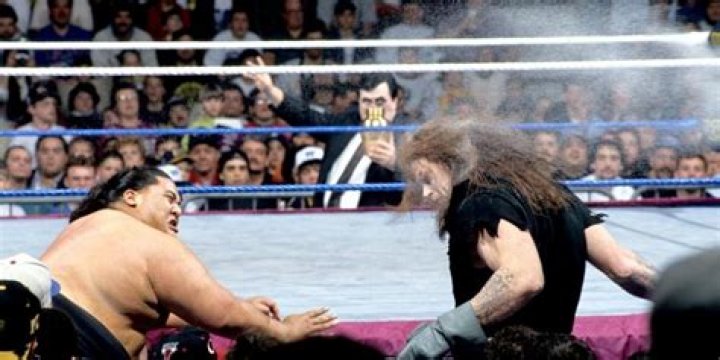 Undertaker v Yokozuna Royal Rumble 1994