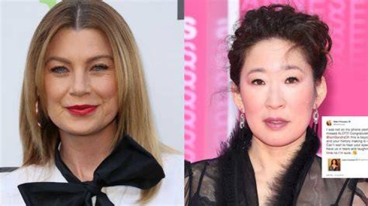 Unraveling The Friendship Between Sandra Oh And Ellen Pompeo