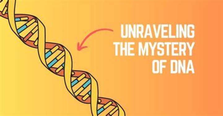 Unraveling The Mystery Is Mr. Tumble A Criminal?